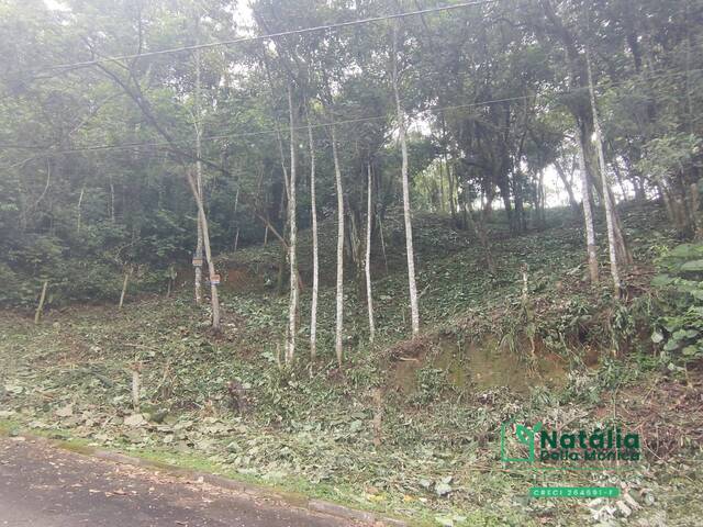 #69 - Terreno em condomínio para Venda em Mairiporã - SP - 2