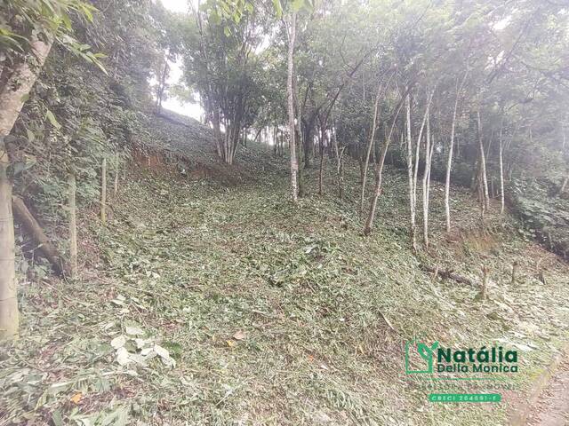 #69 - Terreno em condomínio para Venda em Mairiporã - SP - 3