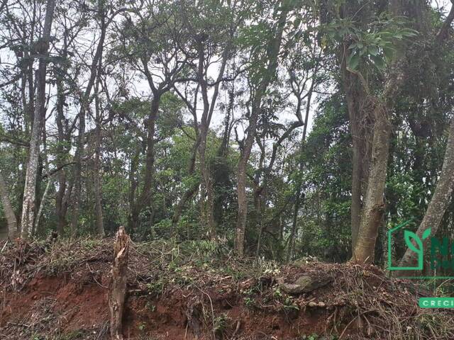 #113 - Terreno para Venda em Mairiporã - SP - 3